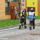 Fotka nr 2 z 17