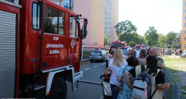 zdjęcie nr 7