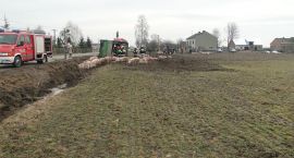 Fotka nr 2 z 17