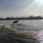zdjęcie nr 9