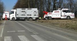 Fotka nr 5 z 6