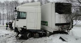 zdjęcie nr 7