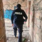 Fotka nr 1 z 4