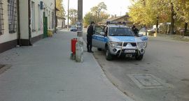 Fotka nr 4 z 8
