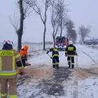 zdjęcie nr 17