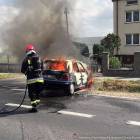 Fotka nr 1 z 4