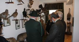 zdjęcie nr 47