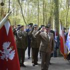 zdjęcie nr 90