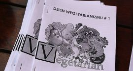 Fotka nr 5 z 60