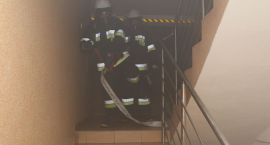 zdjęcie nr 8