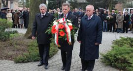 zdjęcie nr 29
