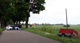 Fotka nr 1 z 3