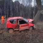 zdjęcie nr 7