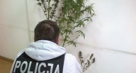 Fotka nr 4 z 5
