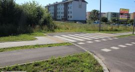 Fotka nr 4 z 24