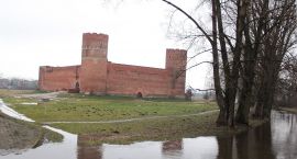 zdjęcie nr 38