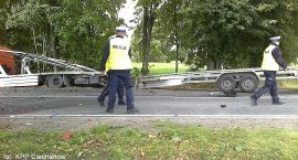zdjęcie nr 19