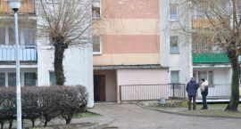 Fotka nr 4 z 9