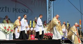 zdjęcie nr 240
