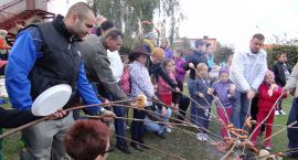 zdjęcie nr 97