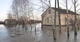 zdjęcie nr 38