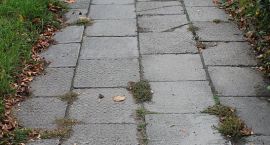 zdjęcie nr 15