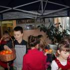 zdjęcie nr 12