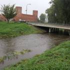 zdjęcie nr 9