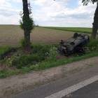 Fotka nr 1 z 2
