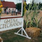 zdjęcie nr 10