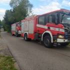 Fotka nr 2 z 4