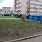 zdjęcie nr 10