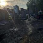 Fotka nr 4 z 10