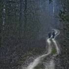 zdjęcie nr 15