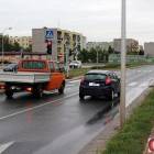 Fotka nr 5 z 13