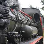 Fotka nr 4 z 17