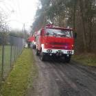 Fotka nr 2 z 3