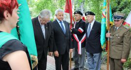 zdjęcie nr 26