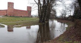 zdjęcie nr 37