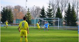 zdjęcie nr 10