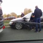 Fotka nr 2 z 4