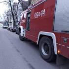 Fotka nr 5 z 14
