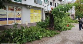 zdjęcie nr 8