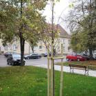 zdjęcie nr 13