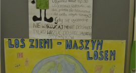 Fotka nr 4 z 36
