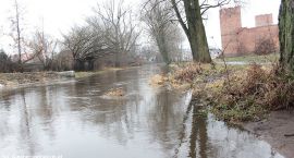 zdjęcie nr 41