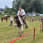 zdjęcie nr 105