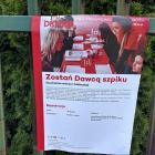 zdjęcie nr 16