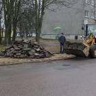 Fotka nr 2 z 12