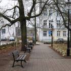 zdjęcie nr 15